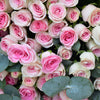 Little Princess - Baby Roses